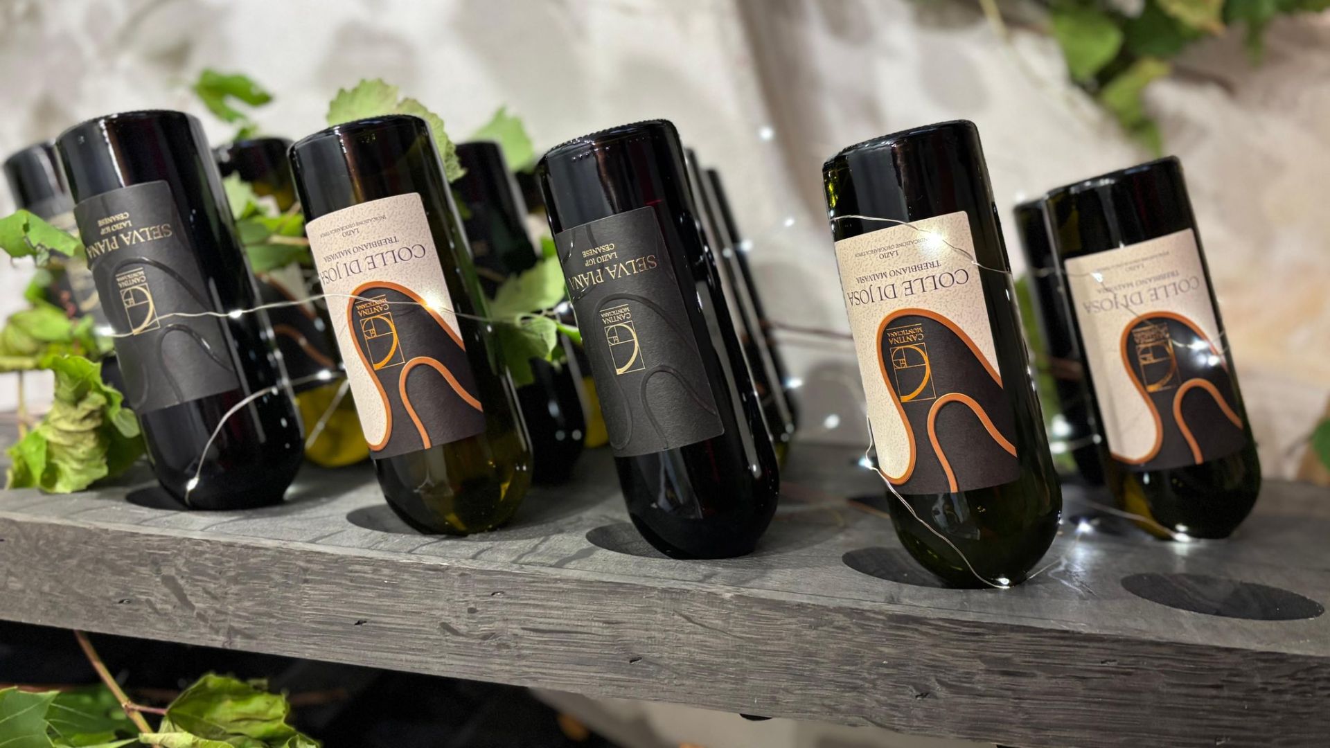 Cantina Monticiana la vendemmia che porta la Ciociaria nel mondo