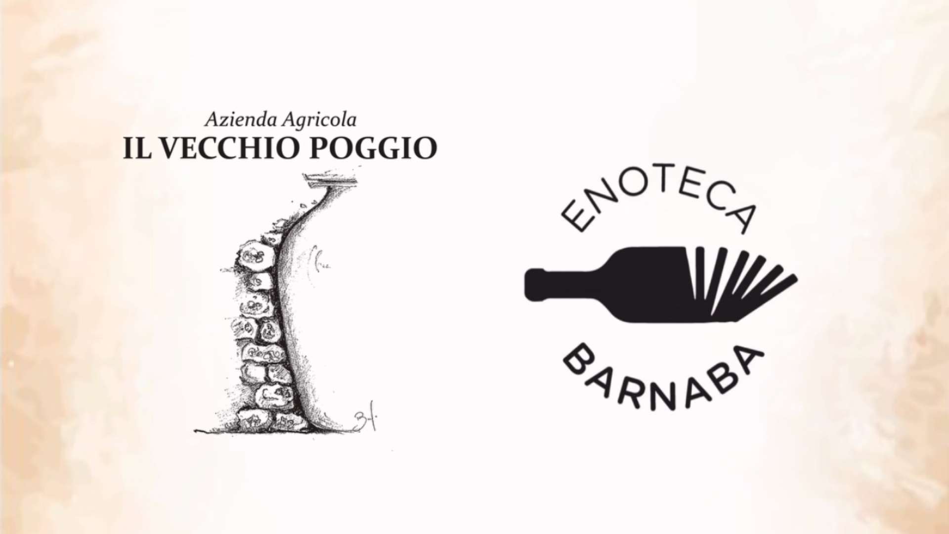 Il Pranzo di fine Vendemmia al Vecchio Poggio con Enoteca Barnaba
