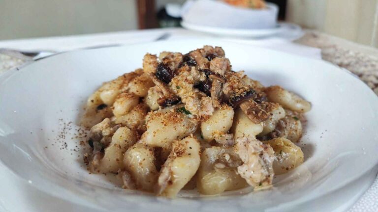 Gnocchetti acqua e farina,ragú di coniglio,pioppini e polvere di cardoncelli