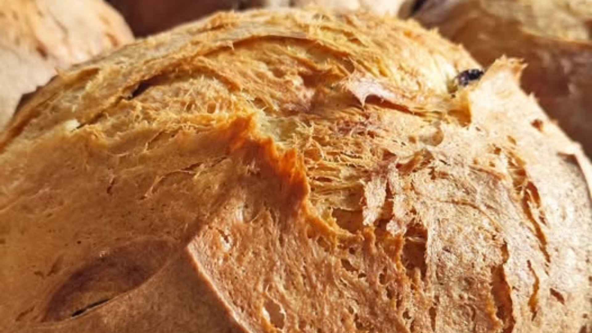 Il panettone di Giuseppe Varone