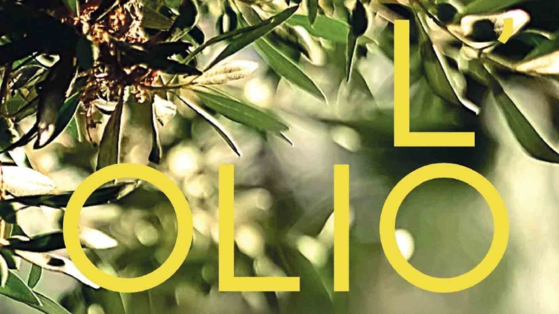 Olea Salus, l’olio che nasce dal tempo (e dall’amore per la terra)