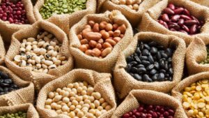 Il legume d’inverno