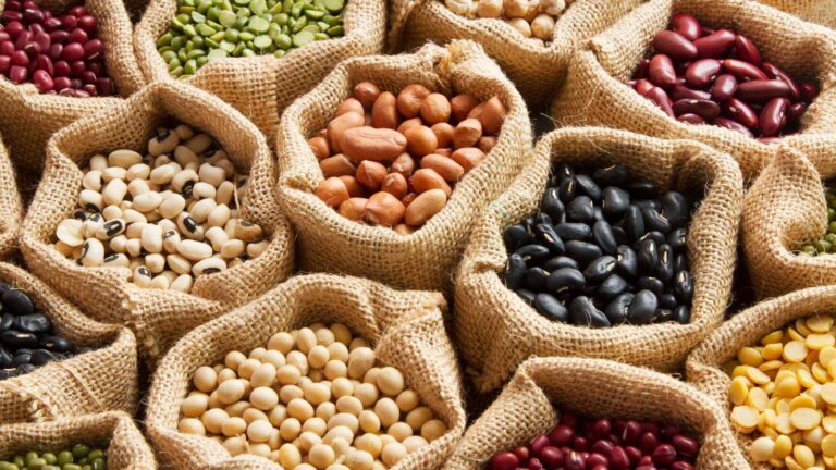 Il legume d’inverno