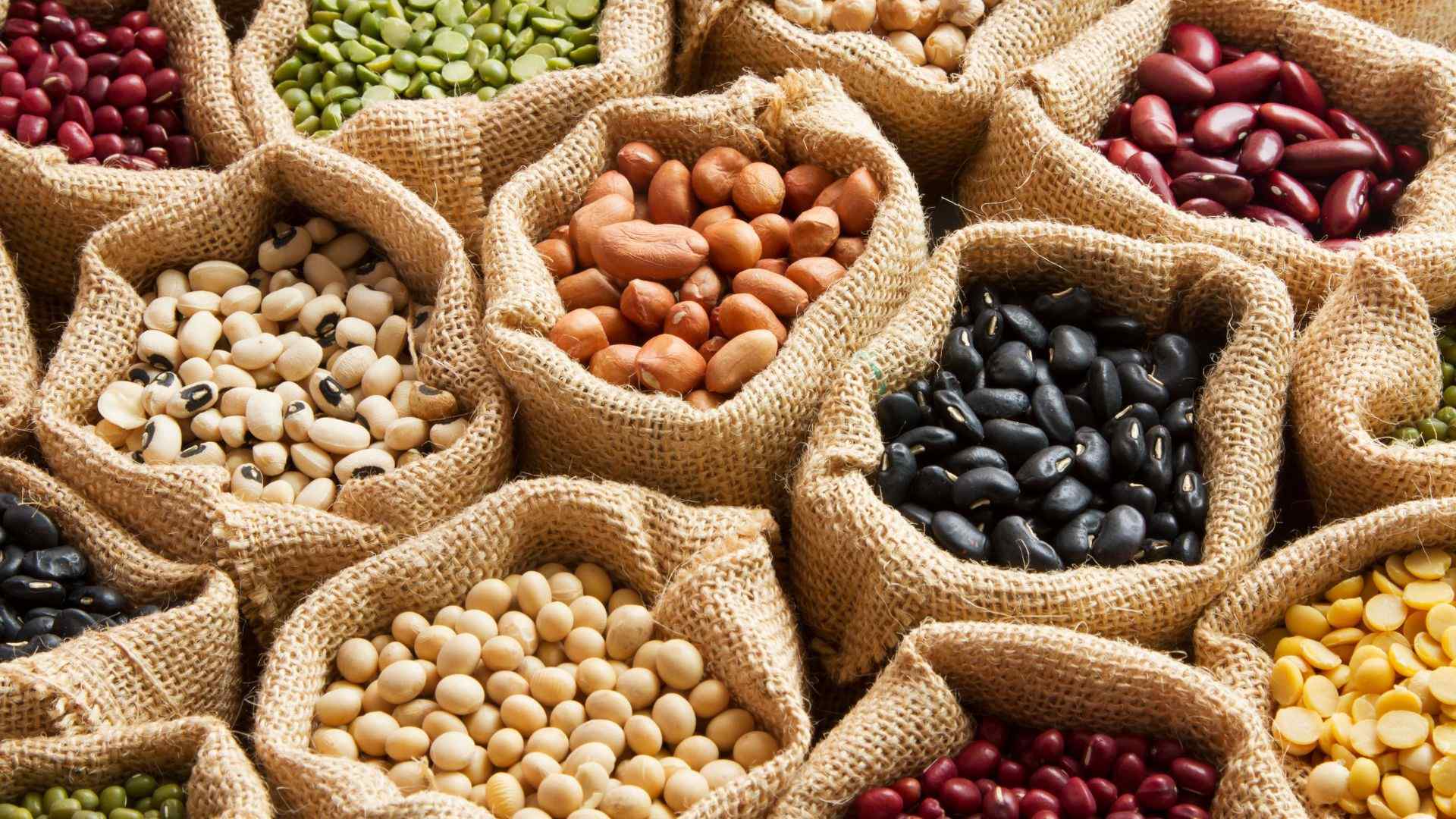 Il legume d’inverno