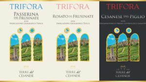 Terre del Cesanese e la linea Trifora