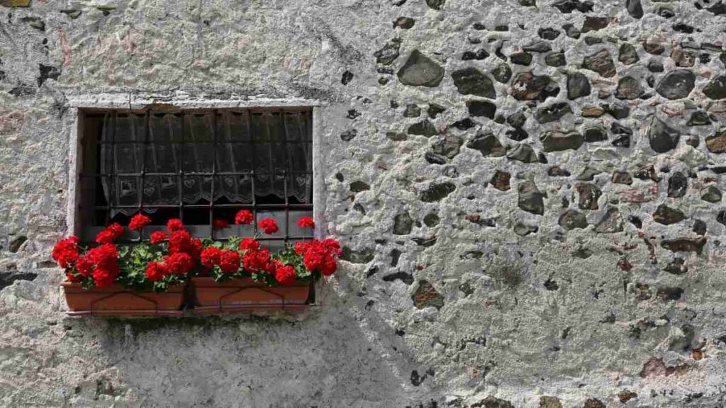 Guarire con i fiori la floriterapia di Edward Bach e il benessere emotivo