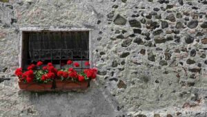 Guarire con i fiori la floriterapia di Edward Bach e il benessere emotivo
