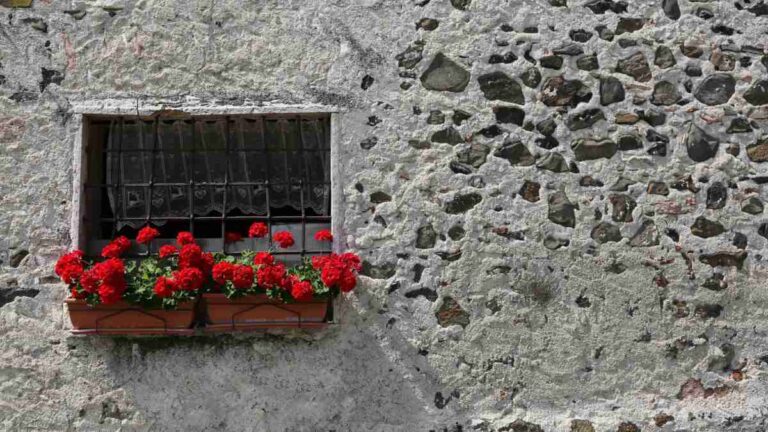 Guarire con i fiori la floriterapia di Edward Bach e il benessere emotivo
