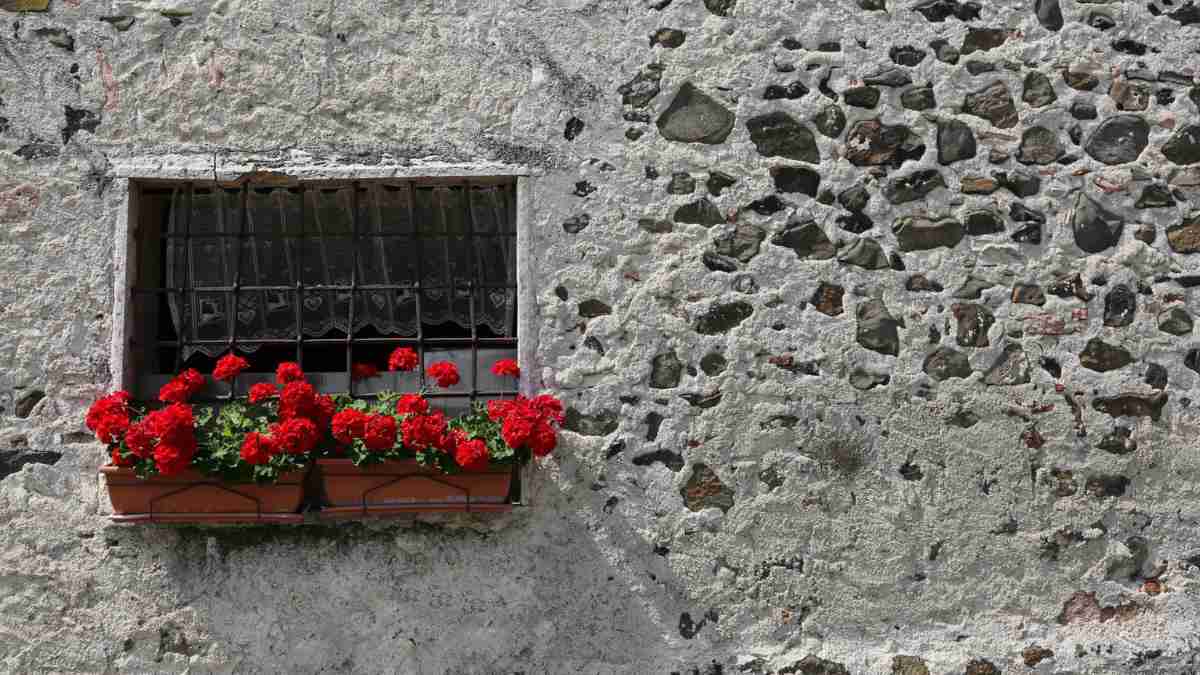 Guarire con i fiori la floriterapia di Edward Bach e il benessere emotivo