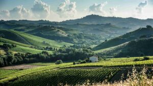 Dionetti, il vino che parla sottovoce dalla Val Menocchia