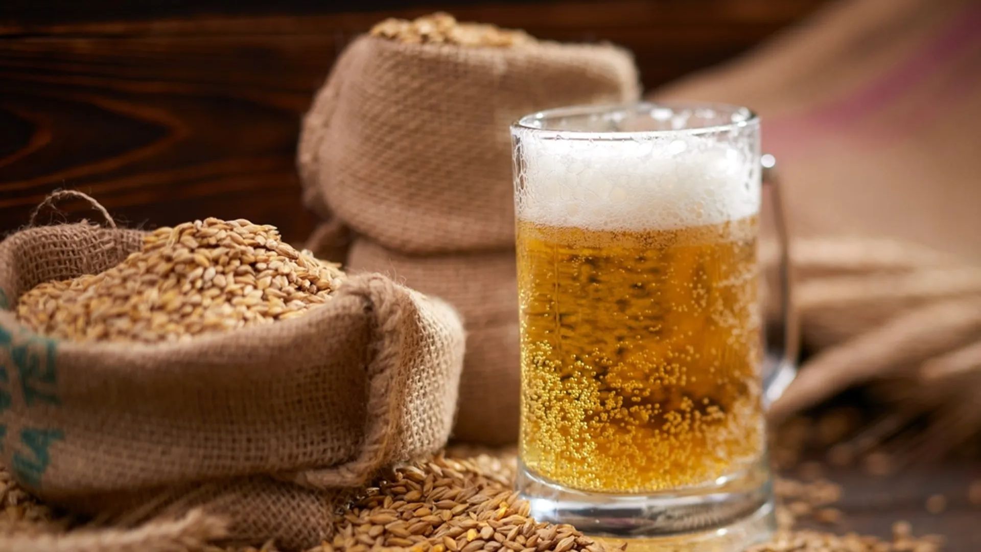 Fermentazione naturale le tre vie tra spontaneità e controllo
