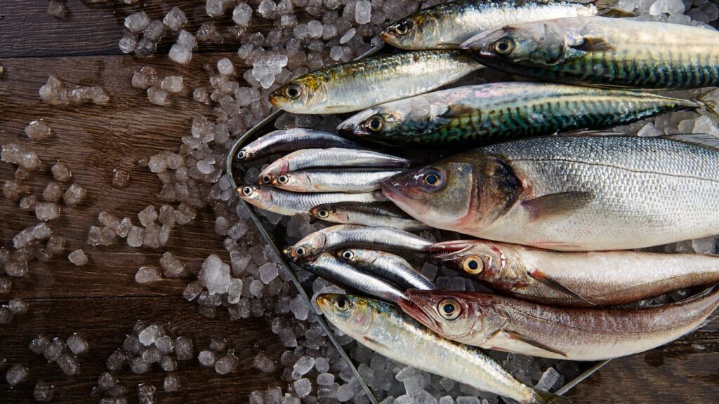 Il mare di marzo essenziale e sincero