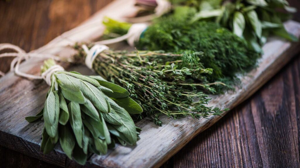 ortaggi e erbe spontanee