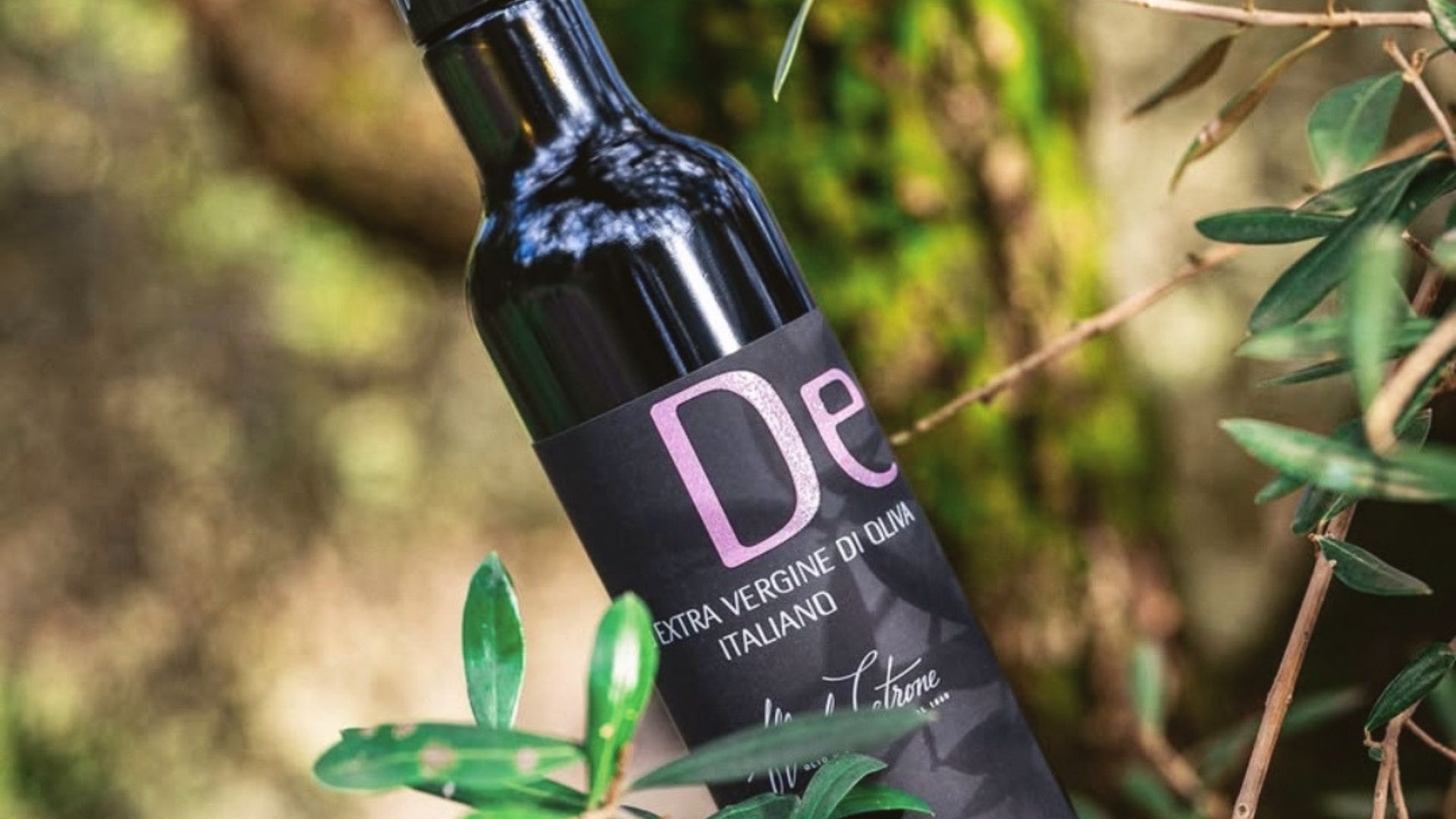 Alfredo Cetrone l’olio di Sonnino che ha cambiato il modo di leggere l’extravergine