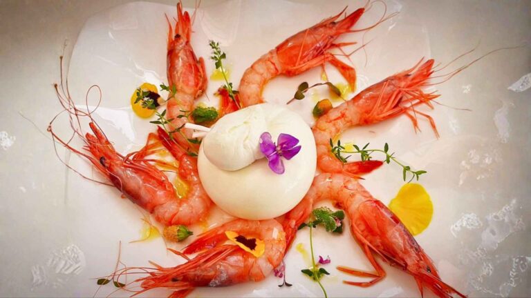 Crudo di gambero viola e burrata