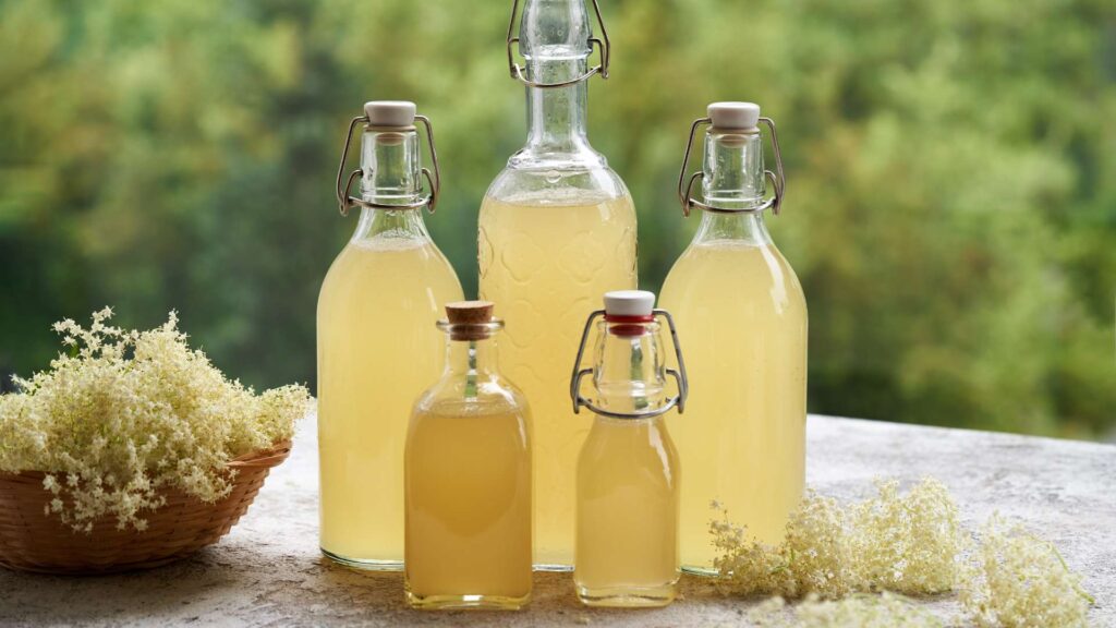 Fermentato di sambuco la ricetta della tradizione