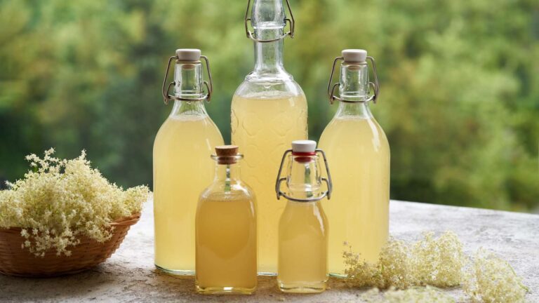 Fermentato di sambuco la ricetta della tradizione