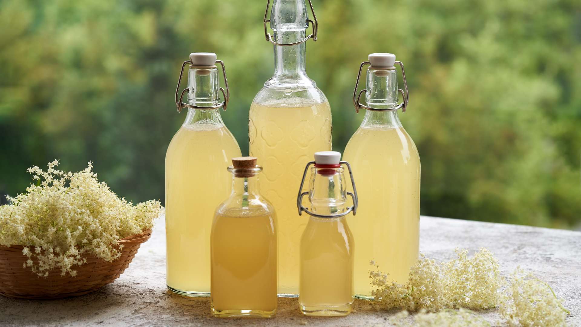 Fermentato di sambuco la ricetta della tradizione