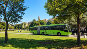 Parco Matusa Frosinone verde, BRT e città da ripensare