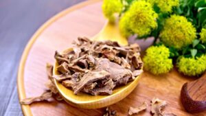 Rhodiola energia e adattamento nei momenti di stress