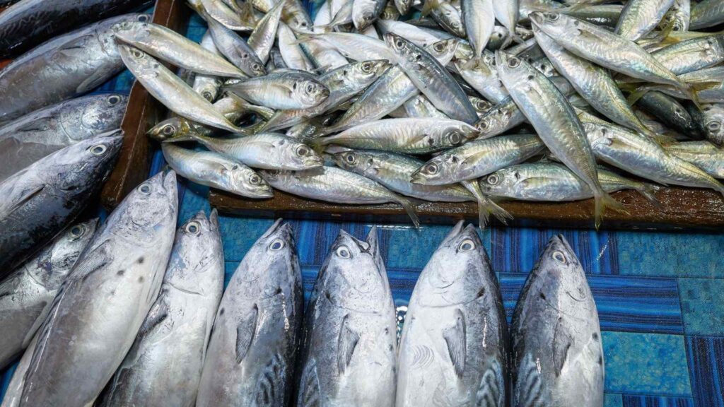 Pesce di giugno di C&C
